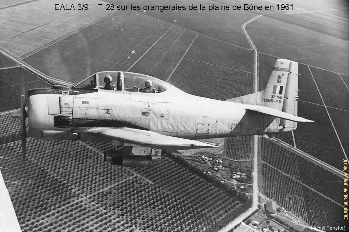 199- ARMEE DE L'AIR EN ALGERIE 1945-1962-47 (60).jpg